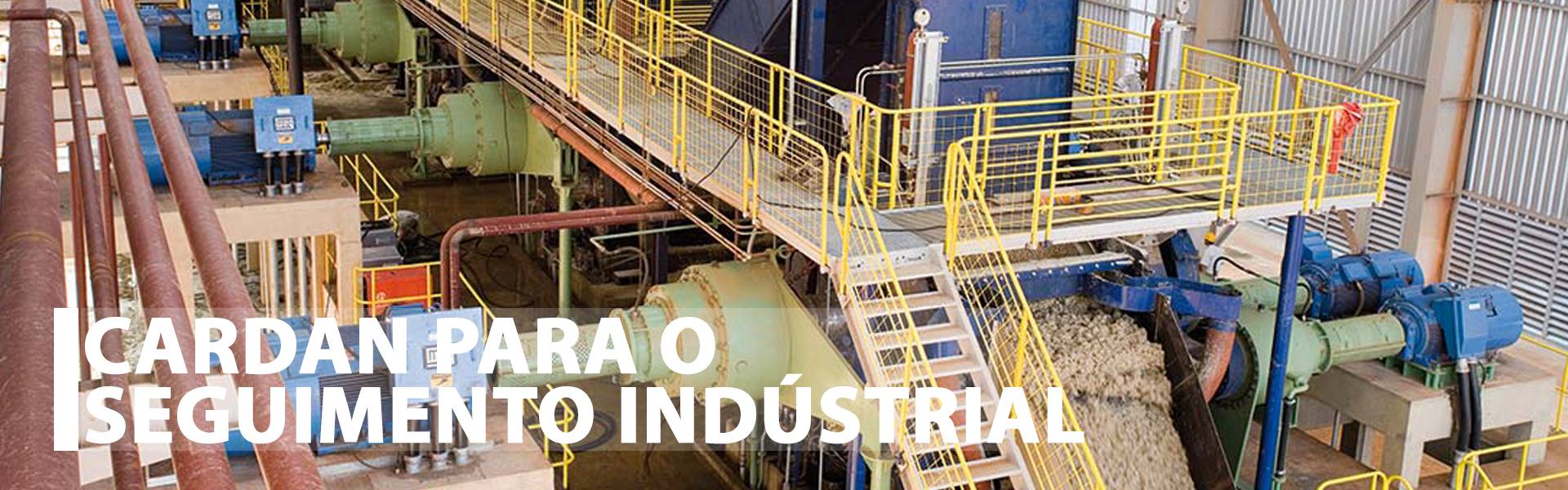 CARDAN PARA SEGMENTO INDUSTRIAL